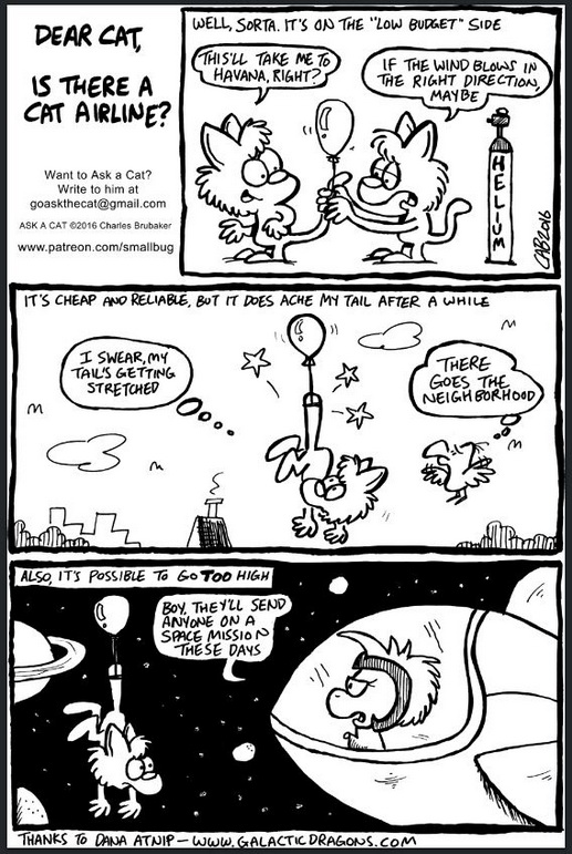Ask a Cat strip with Aurora