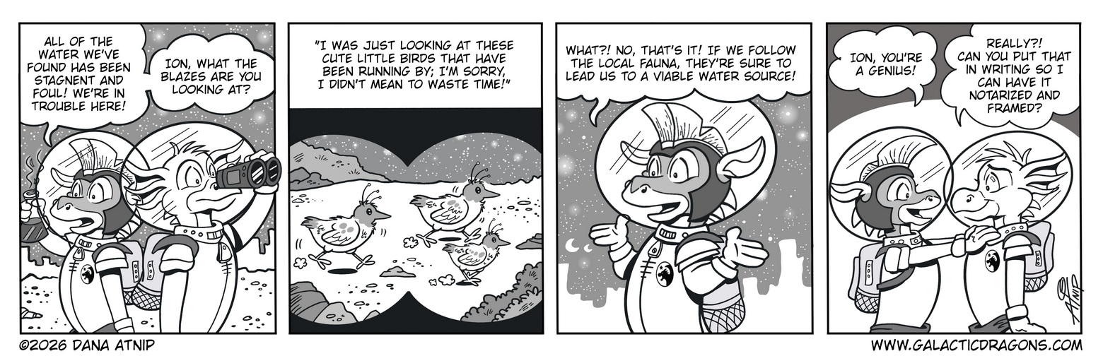 #294 Bird Brain
